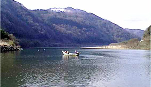 Salt water wedge inflow was observed in the Gonokawa river (Shimane prefecture)