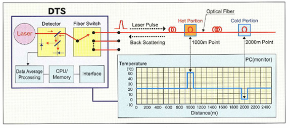 Distributed Temperature Sensor