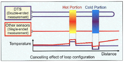 Comparison between loop and single-end types