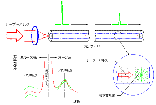 図:測定原理